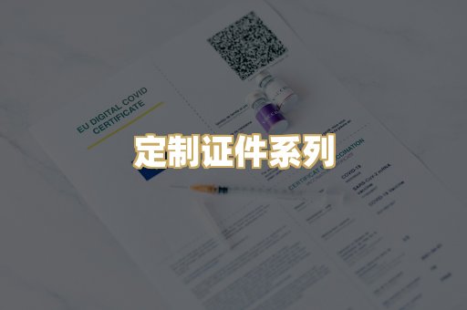 定制证件系列